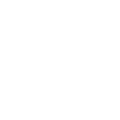 Anaheim Ducks logo