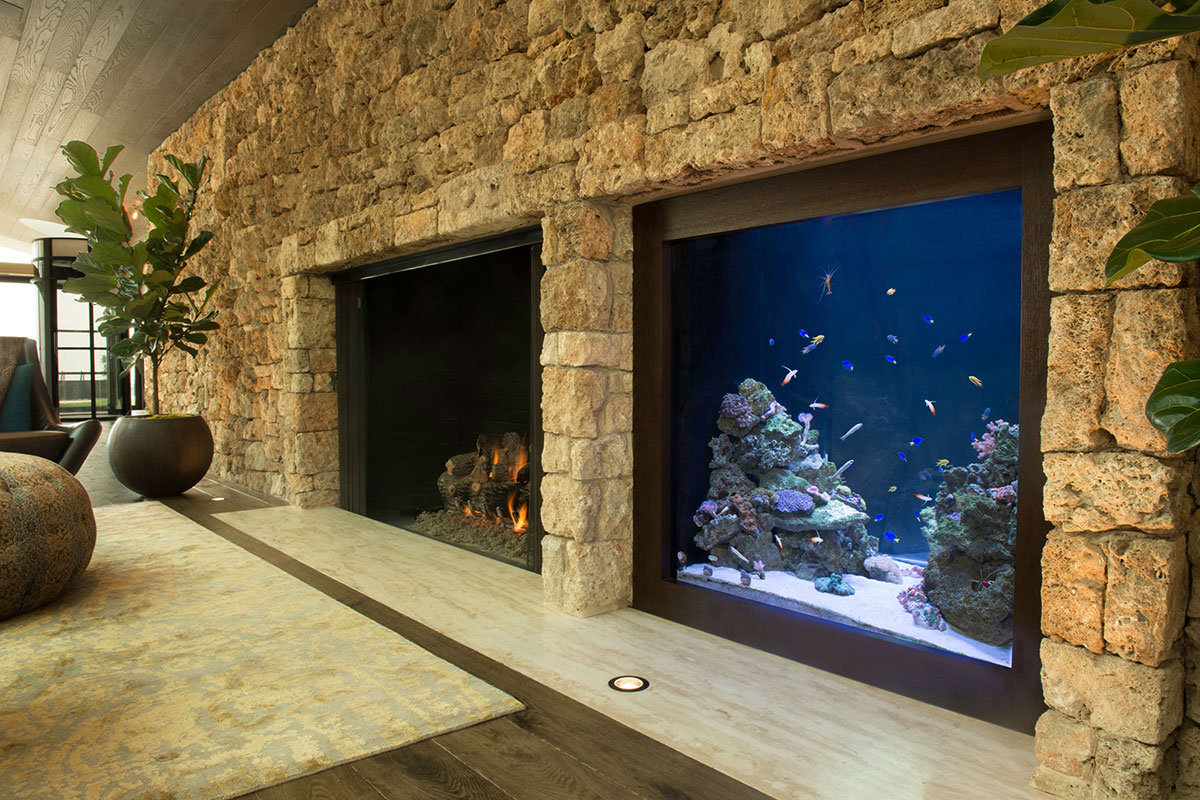 Aquarium blog