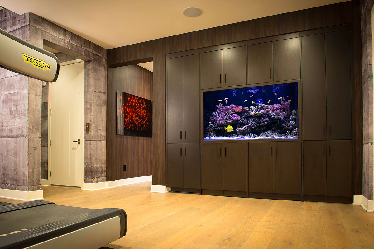 Aquarium blog